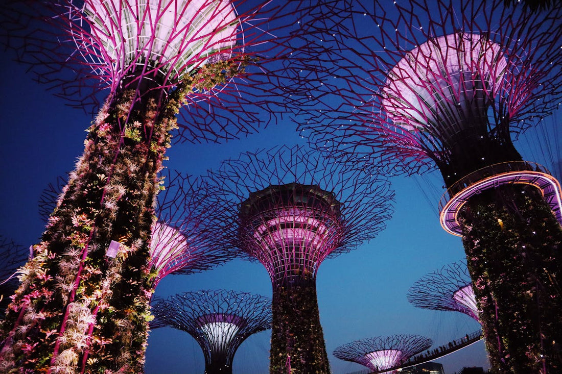 A Guide to Incorporating a Limited Company in Singapore