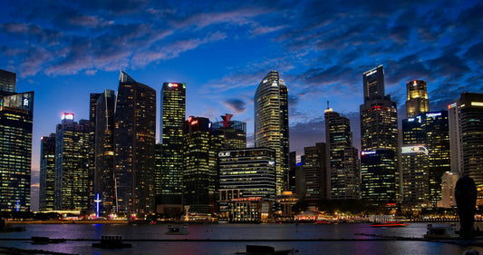 Types of Companies in Singapore: Requirements and Considerations