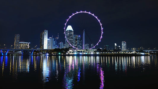 Navigating Singapore Shares & Share Classes